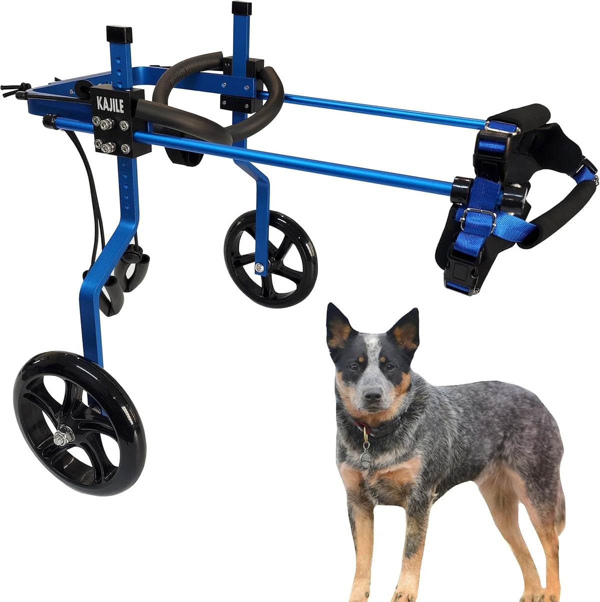 Regulowane 2 koła wózek dla psa,XXL-2 Rozmiar Dla Niepełnosprawnych Rehabilitacja tylnych łap psa, Fit Wysokość 55-70cm, Szerokość 24-32cm, Długość 35-45cm