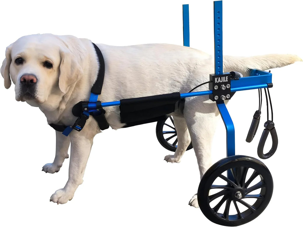 Regulowane 2 koła wózek dla psa,XXL-2 Rozmiar Dla Niepełnosprawnych Rehabilitacja tylnych łap psa, Fit Wysokość 55-70cm, Szerokość 24-32cm, Długość 35-45cm