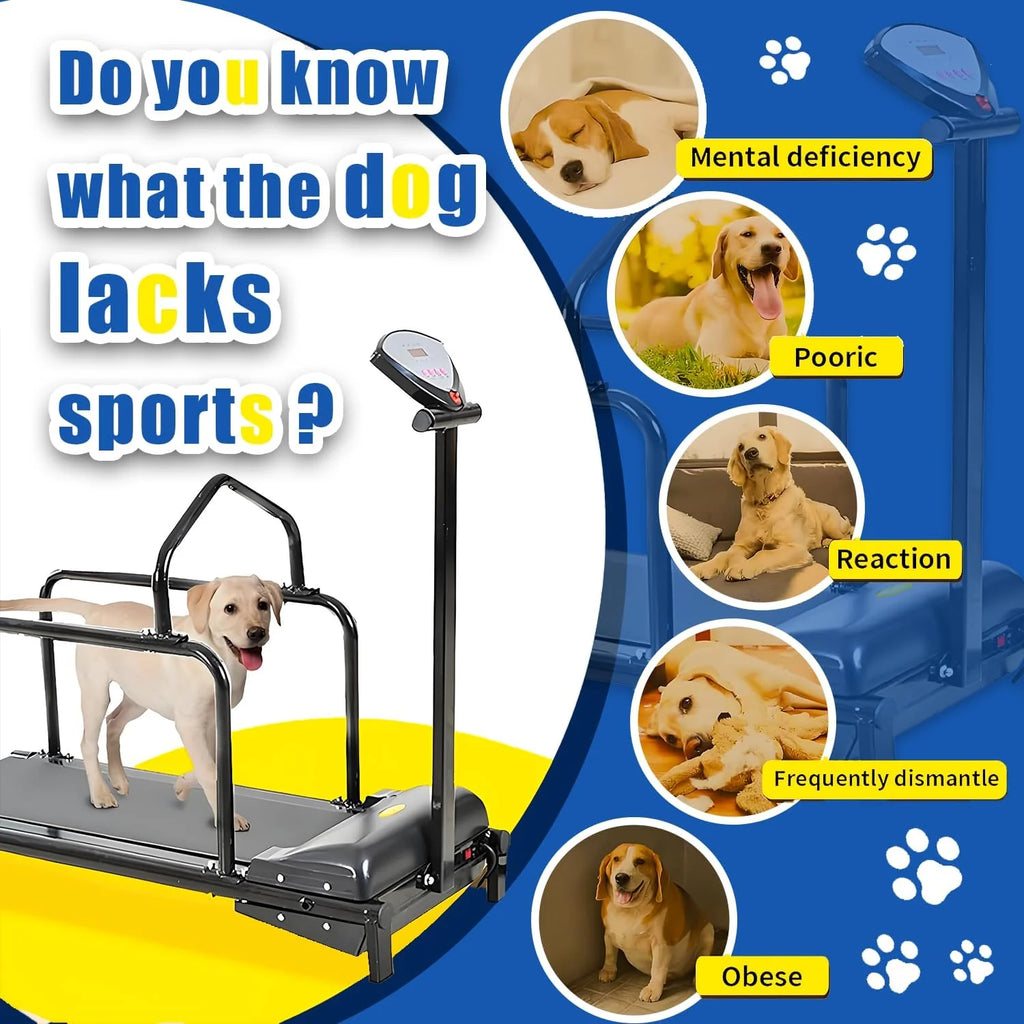 Bieżnia dla psa, bieżnia fitness dla zwierząt, z ogrodzeniem zabezpieczającym, cichym silnikiem i regulowaną prędkością, bieżnia dla dużych psów, bieżnia dla średnich psów