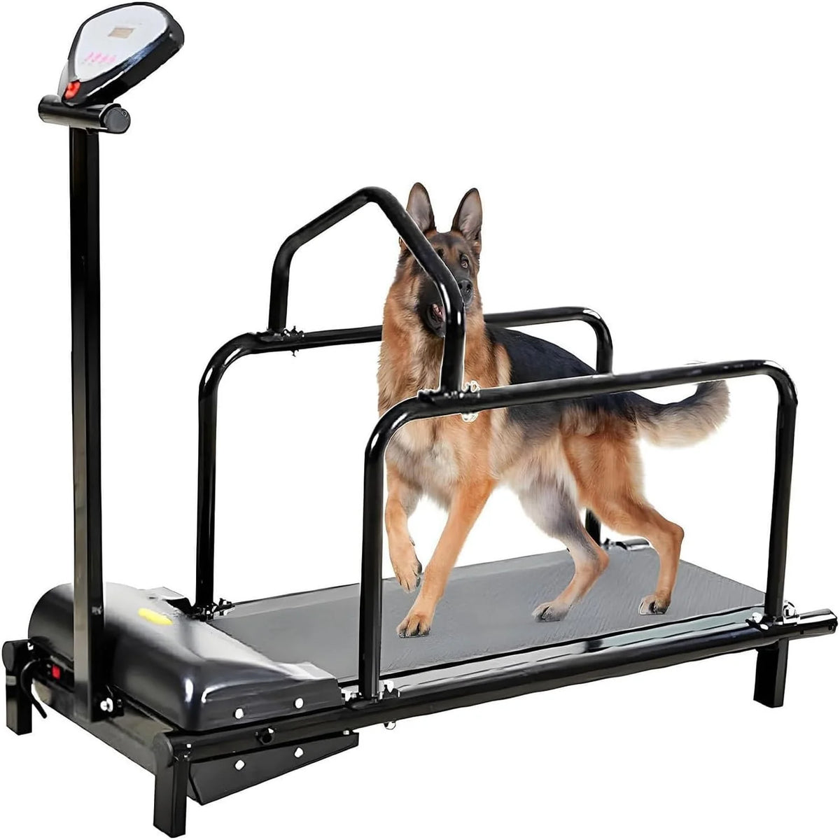 Bieżnia dla psa, bieżnia fitness dla zwierząt, z ogrodzeniem zabezpieczającym, cichym silnikiem i regulowaną prędkością, bieżnia dla dużych psów, bieżnia dla średnich psów