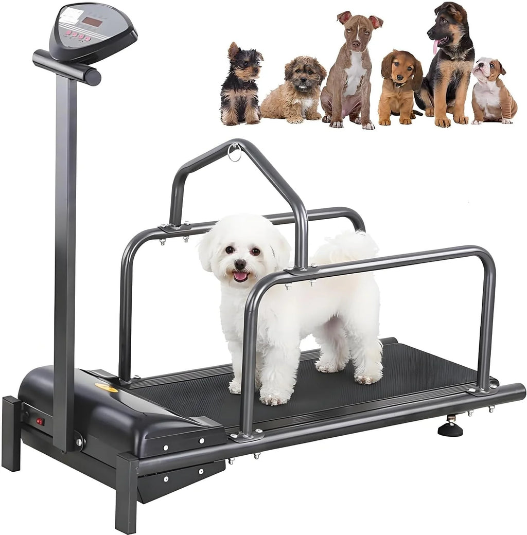 Bieżnia dla psa, bieżnia dla zwierząt, sprzęt do treningu psów, spacerów i biegania, zestaw fitness, cichy silnik z wyświetlaczem LCD, bieżnia dla zwierząt dla psów do 80 kg