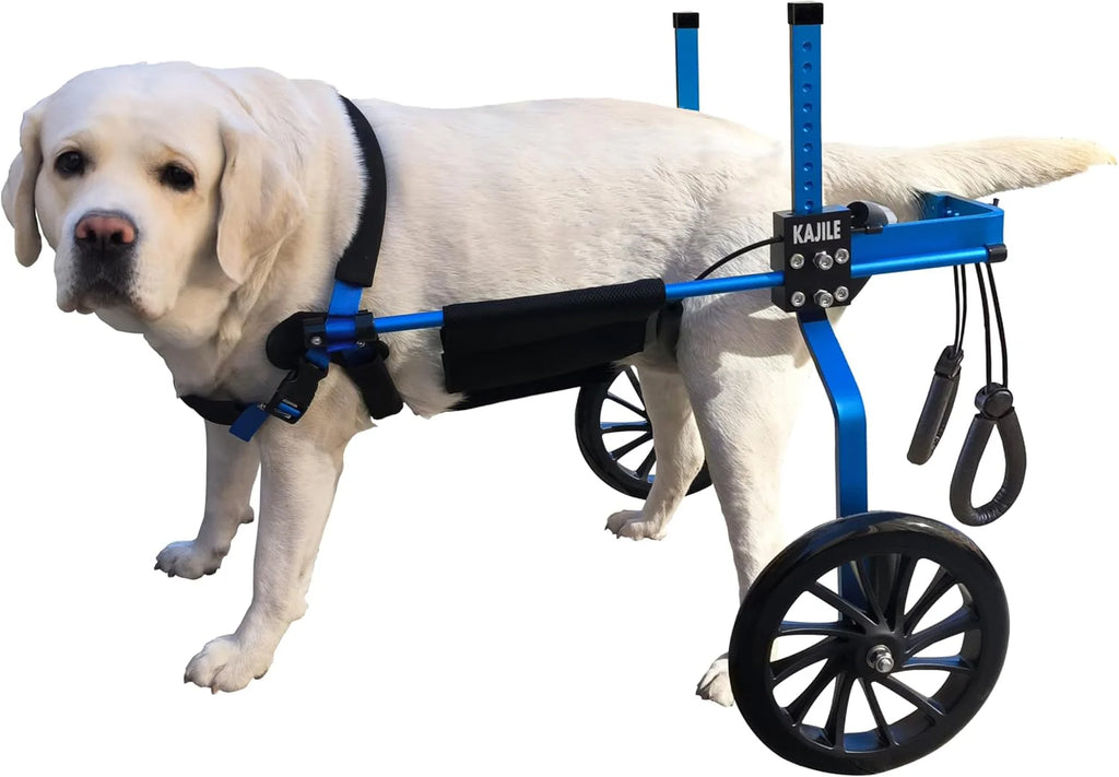 Regulowane 2 koła wózek dla psa,XXL-2 Rozmiar Dla Niepełnosprawnych Rehabilitacja tylnych łap psa, Fit Wysokość 55-70cm, Szerokość 24-32cm, Długość 35-45cm