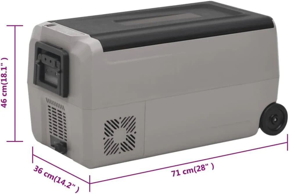 vidaXL Lodówka na kółkach, z zasilaczem, czarno-szara, 60 L, PP i PE, lodówka turystyczna, mała lodówka, chłodziarka turystyczna, lodówka przenośna