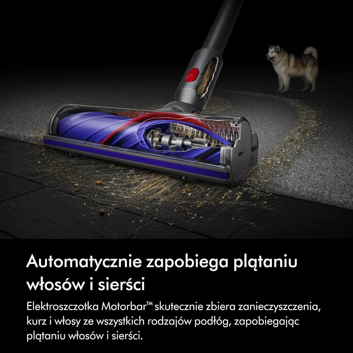 Bezprzewodowy odkurzacz pionowy Dyson V8™ Absolute (Srebro/Żółty)