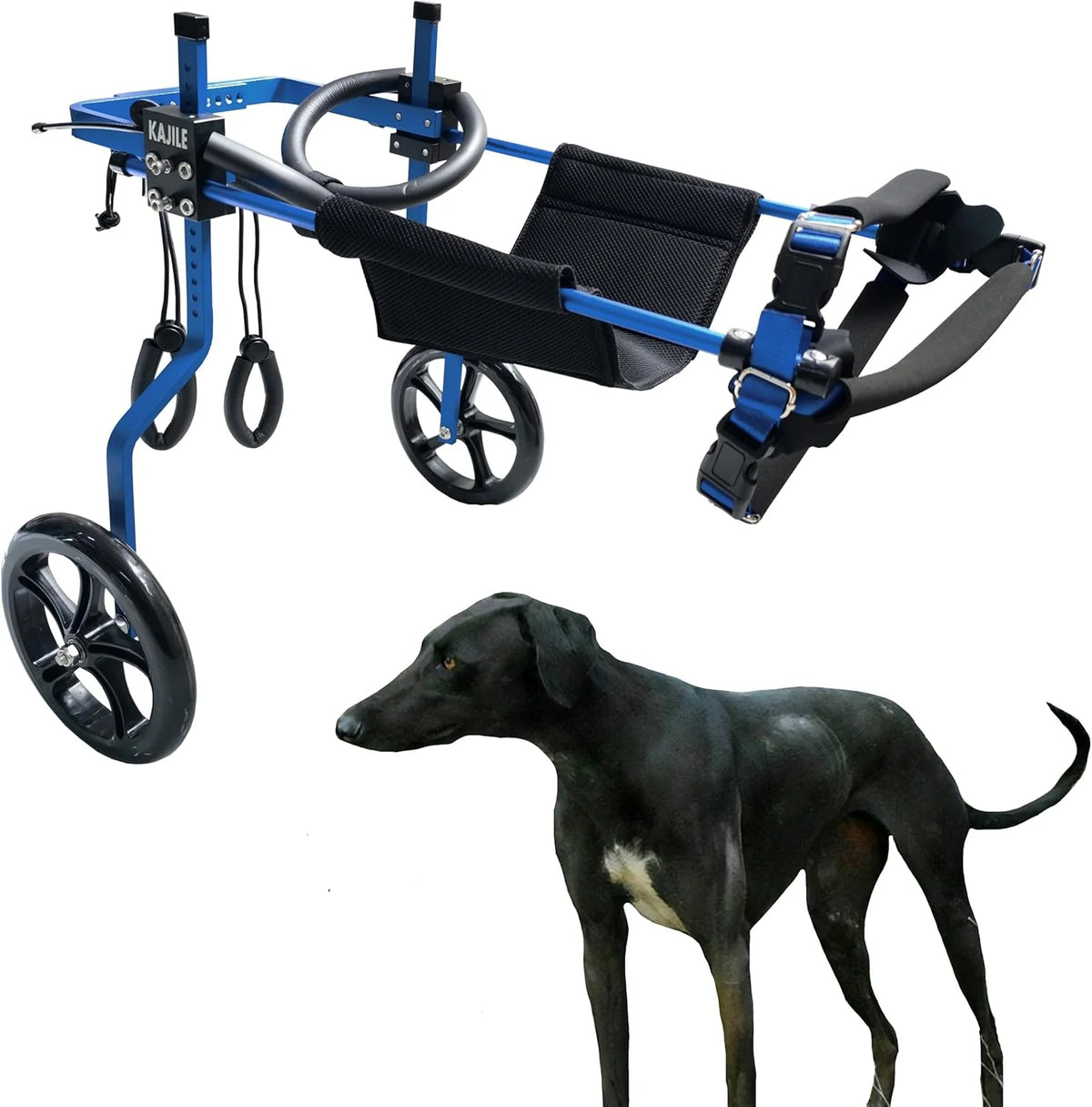 Regulowane 2 koła wózek dla psa,XXL-2 Rozmiar Dla Niepełnosprawnych Rehabilitacja tylnych łap psa, Fit Wysokość 55-70cm, Szerokość 24-32cm, Długość 35-45cm