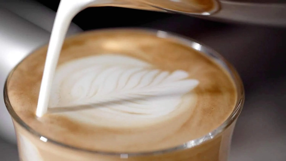 Breville Barista Max Ekspres do kawy Kolbowy VCF126X, Zbiornik na wodę 2.8L, Zintegrowany młynek do kawy i spieniacz do mleka, 15 Bar, Stal Szczotkowana