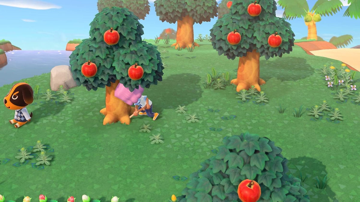 Nintendo Switch Lite Turkusowy & Animal Crossing: New Horizons & NSO 3 miesiące