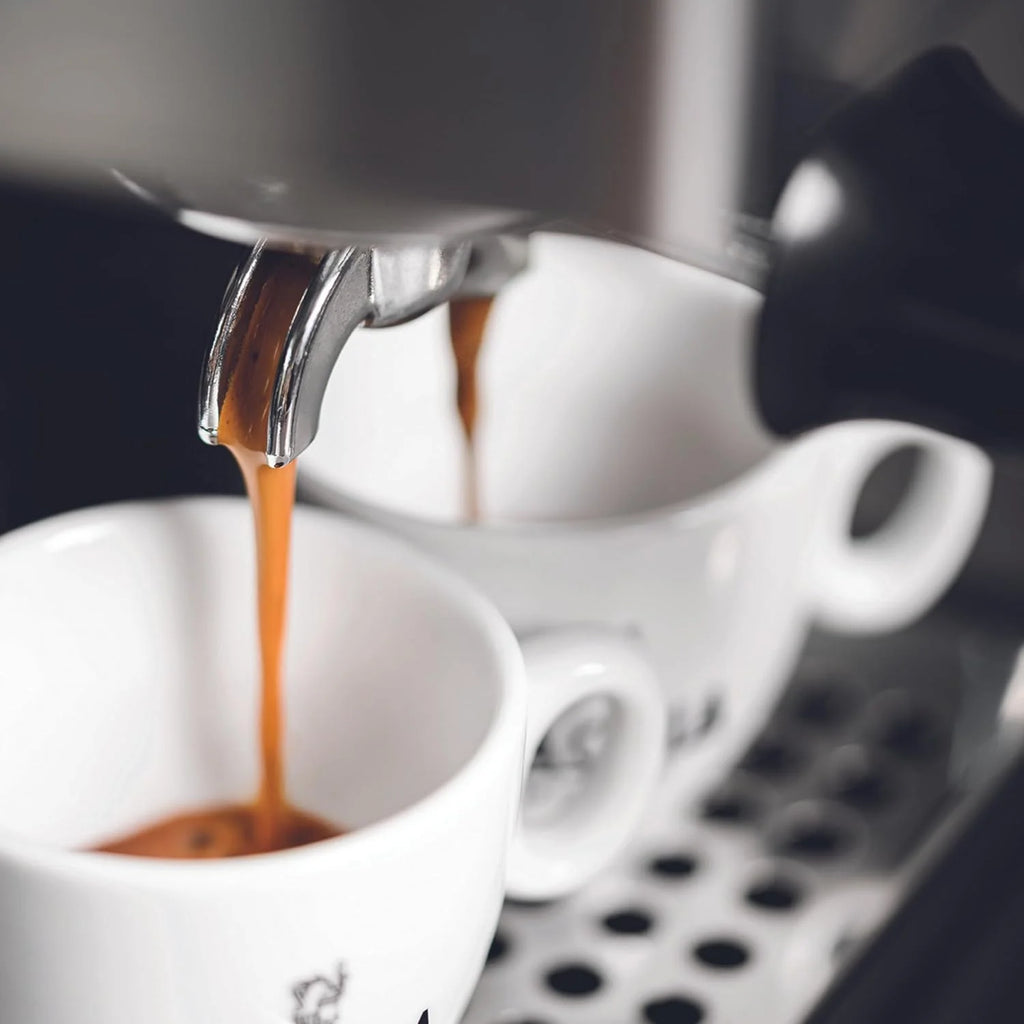 Gaggia Classic Evo czarny RI9481/14