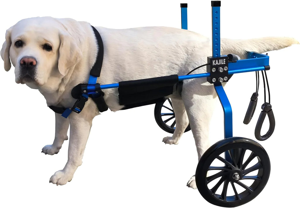 Regulowane 2 koła wózek dla psa,XXL-2 Rozmiar Dla Niepełnosprawnych Rehabilitacja tylnych łap psa, Fit Wysokość 55-70cm, Szerokość 24-32cm, Długość 35-45cm