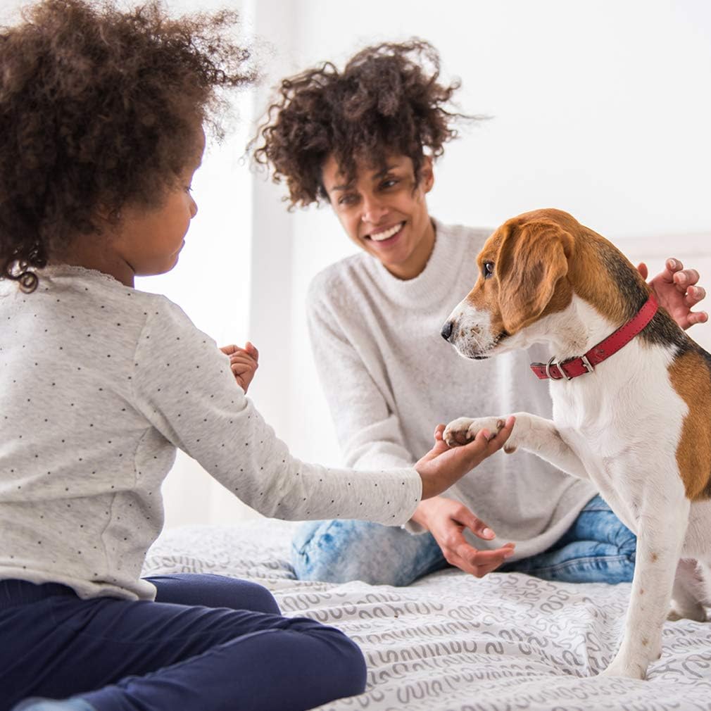 BestPet Wózek dla zwierząt domowych klatka dla kota psa wózek podróżny składany transporter, czerwony